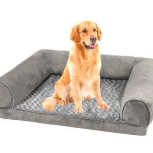 Foam Pet Bed C20 Medium