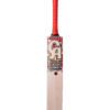 CA GOLD 15000 PLAYERS EDITION - Red  Cricket Bats,1