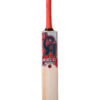 CA GOLD 5000 - Red  Cricket Bats,1