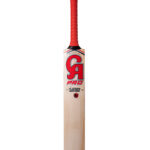 CA pro player edition - Red  Cricket Bats,1