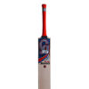 PLUS 5000 - Red  Cricket Bats,1