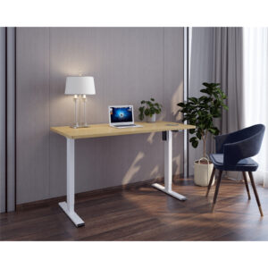 Loctek Ergonomic Eco Office Standing Desk - 1600x800mm - Single Motor - Weight Capacity 70KG - 2 Stage Height Adjustable 710-1210mm - Speed 25mm/s - Sound   > Bun