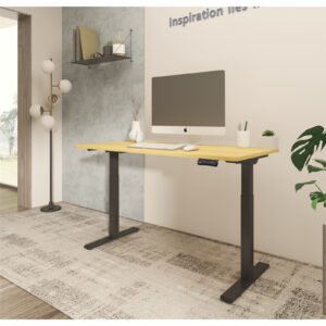 Loctek Ergonomic Pro Office - 1200x600mm - Dual Motor Standing Desk - 2 Stage Height Range 710-1200mm - Programmable Height Memory Control - Anti-Collision Function