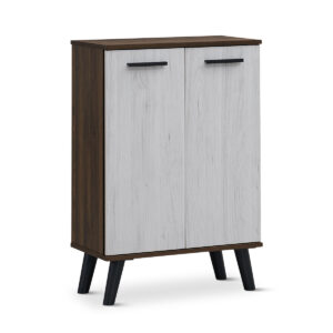 Dallars 2 Door Shoe Cabinet