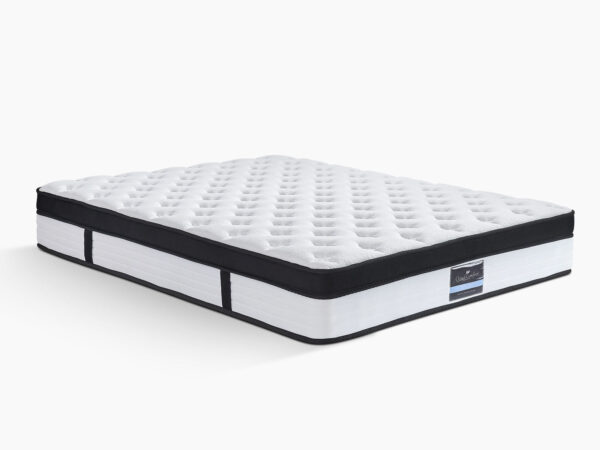 Double Top Mattress