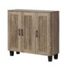 Johnson 3 Door Shoe Cabinet