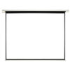 Projector Screen 120''