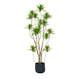 Buy SOGA 170cm Lily Bamboo Plant Tree Living Room Artificial Plant Home Accent Decoration Online - Home & Living/Home Decor/Artificial Plants - 1 - NZ Depot Free Shipping