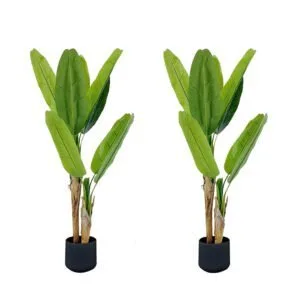 Buy SOGA 2X 160cm Banna Plant Bird of Paradise Tree Artificial Plant Home Accent Decor Online - Home & Living/Home Decor/Artificial Plants - 1 - NZ Depot Free Shipping