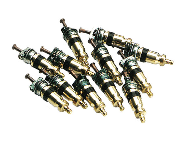 SCHRADER VALVE . -