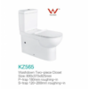 Handicapped Standard 3L/4.5L Dual-Flush Two Piece Toilet Ceramic Disable Toilets, Suite - NZ DEPOT