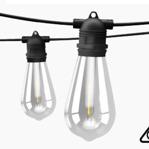 Fixed Socket Festoon Light ST64 22M LED