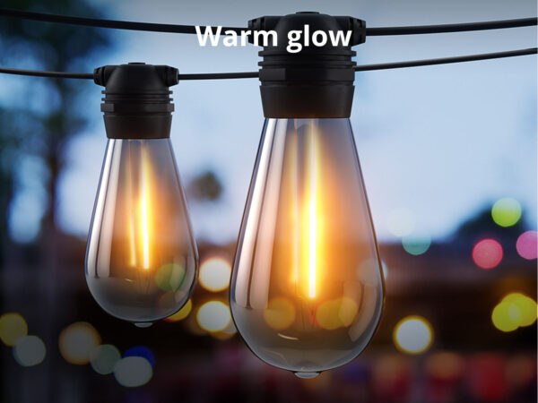 Fixed Socket Festoon Light ST64 22M LED