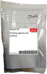 Repair Kit Gaskets Industrial Valves 2453040