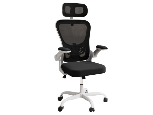 DS Molina Mesh Task Chair White+Black