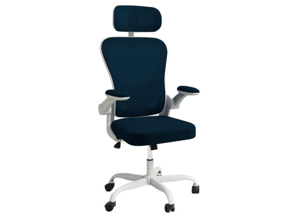 DS Molina Mesh Task Chair White+Blue