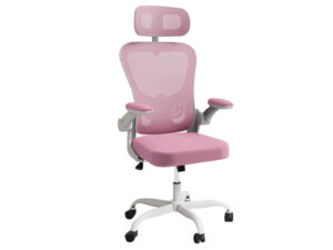 DS Molina Mesh Task Chair WhitePink PR72154 Office Chairs NZ DEPOT