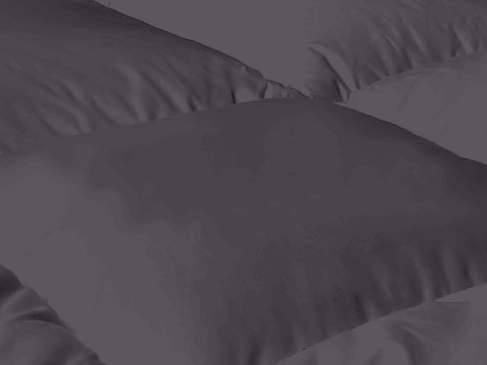 Bamboo Charcoal Mattress Topper - King Single - Bedding - PR8431 - 8 - NZ DEPOT Trade Supply Buy Bamboo Charcoal Mattress Topper - King Single Online - Bedding - 8 - NZ Depot Delivery