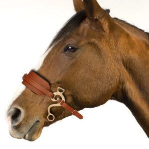 Buy ANYHOUZ Hackamore Horse Bit - Adjustable Bitless Bridle Online - Sporting Goods - 2 - NZ Depot Free Shipping