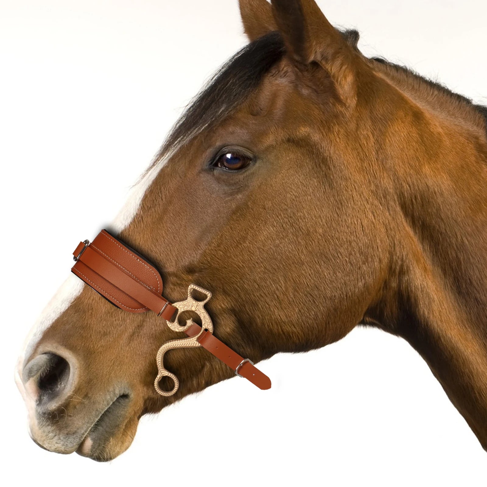 ANYHOUZ Hackamore Horse Bit - Adjustable Bitless Bridle - PG1-MSJS-FL - Sporting Goods - 2 - NZ DEPOT Buy ANYHOUZ Hackamore Horse Bit - Adjustable Bitless Bridle Online - Sporting Goods - 2 - NZ Depot Free Shipping