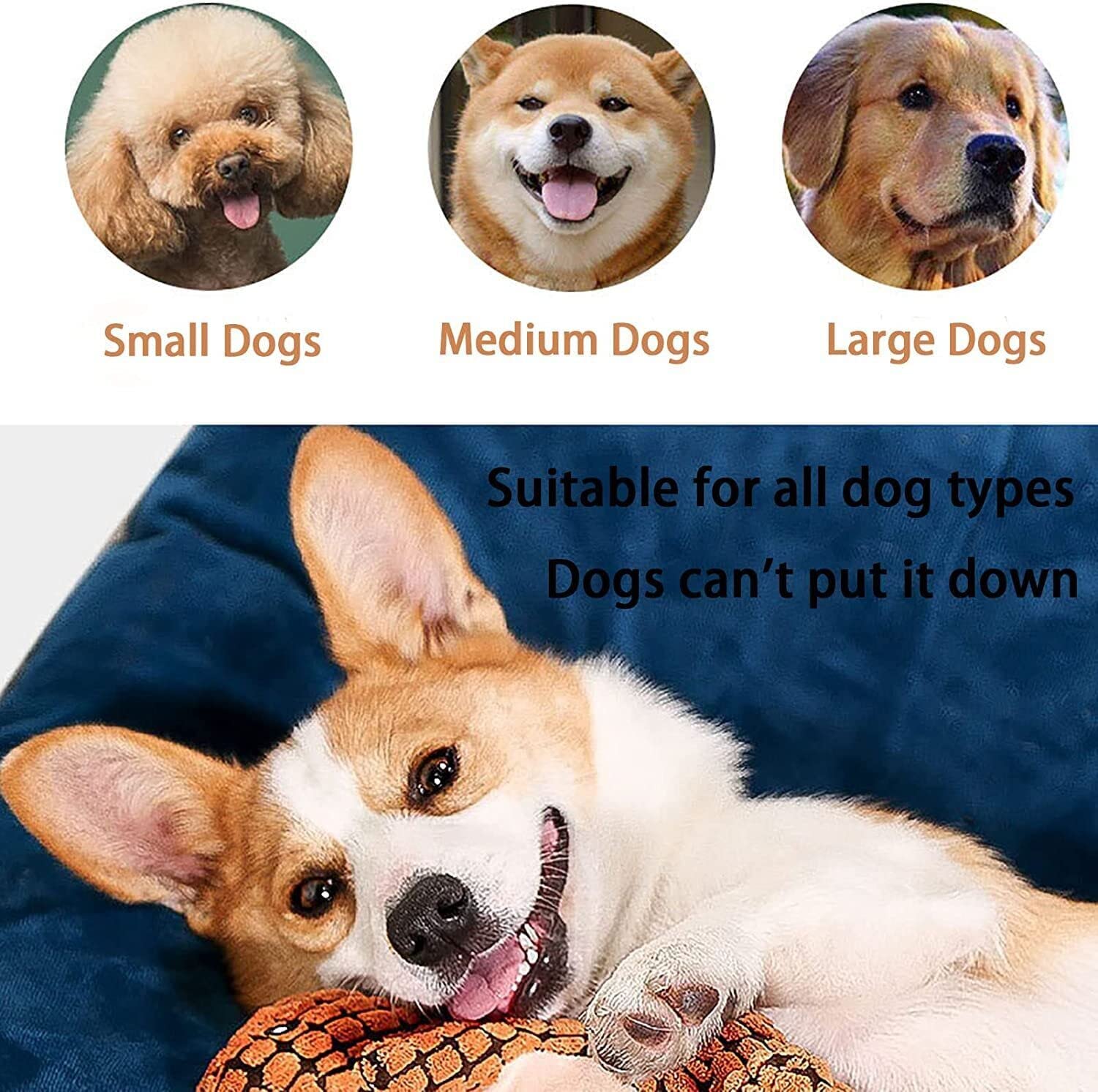 Anypet Dog Toy Orange Dinosaur Squeaky Plush Interactive Chew Boredom Buster Stuffing Pet Supplies - PG1-DNSDT-OG - Animals & Pet Supplies - 7 - NZ DEPOT Buy Anypet Dog Toy Orange Dinosaur Squeaky Plush Interactive Chew Boredom Buster Stuffing Pet Supplies Online - Animals & Pet Supplies - 7 - NZ Depot Free Shipping