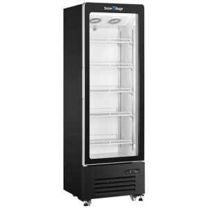 Buy Single Glass Door Display Fridge LC-338FP Online - Commercial Fridges - 1 - NZ Depot Delivery