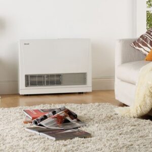 Rinnai Energysaver 559 WH NG - Rinnai Energysaver 559 WH NG | NZ Depot
