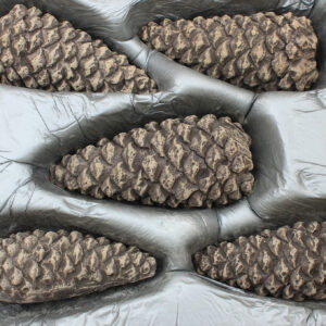 Rinnai R2906 - Pinecones 5 Piece Set | NZ Depot