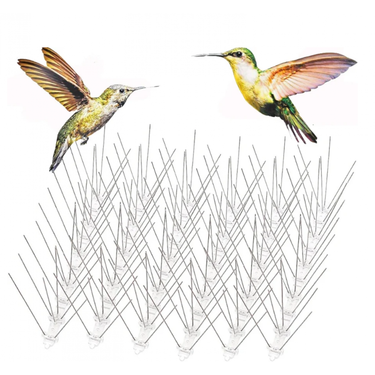 14Pcs Bird Spikes Kit Stainless Steel Bird Repeller Set - Bird Spikes - Homeware Clearance Sale - 3 - NZ DEPOT Bathroom Buy 14Pcs Bird Spikes Kit Stainless Steel Bird Repeller Set Online - Homeware Clearance Sale - - 3 - NZ Depot Delivery