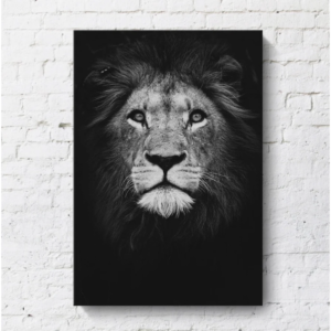 Buy Minimalist Lion Head Canvas Paintings Black White Online - Homeware Clearance Sale -  - 1 - NZ Depot Delivery