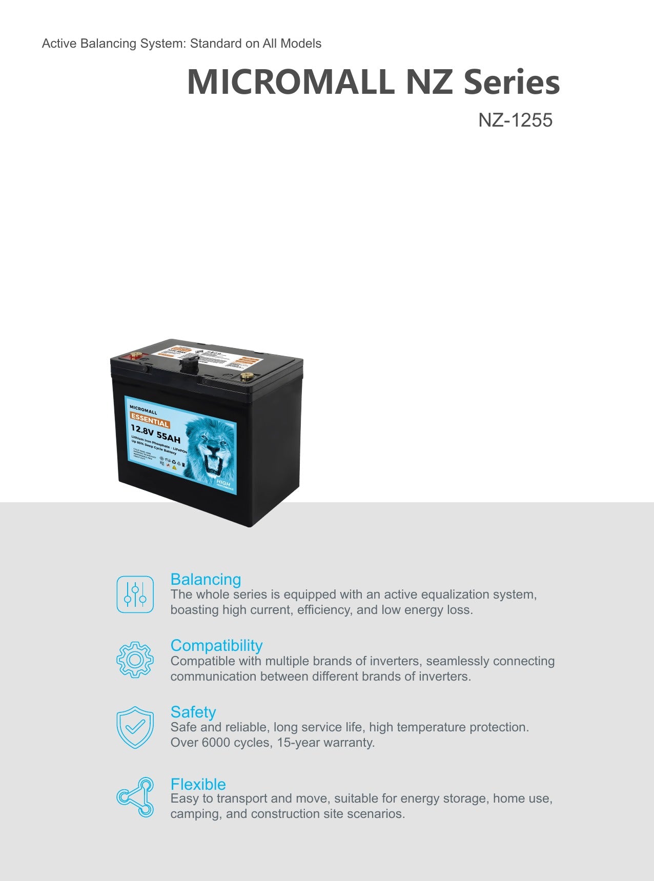 12V 50Ah 55Ah LiFePO4 Deep Cycle Battery (detail view) 12V 50Ah 55Ah LiFePO4 - BTL-12V55B detail view | NZ Depot