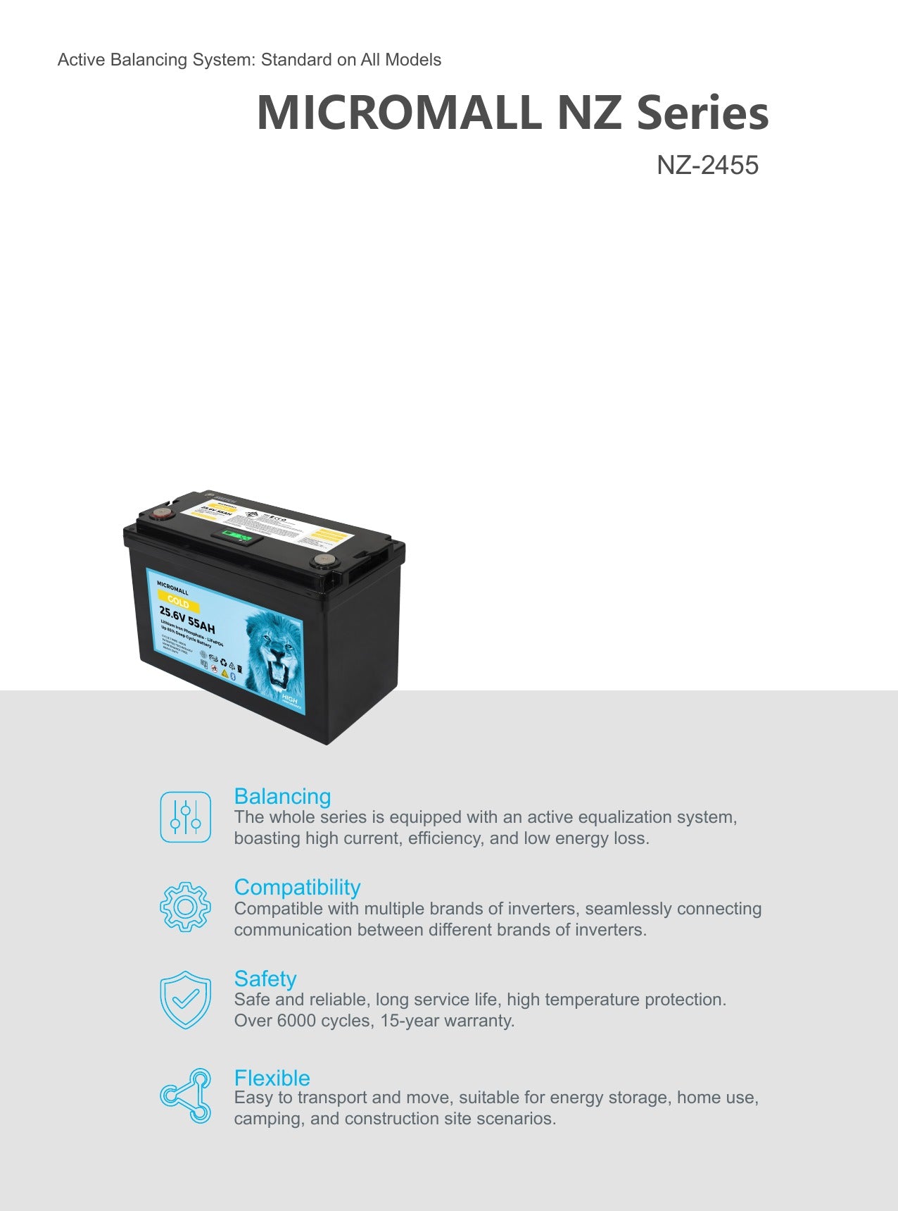 solar-Lithium-LiFePO4-Batteries-BTL-24V55S-nz-depot-8 solar Lithium LiFePO4 Batteries BTL 24V55S nz depot 8