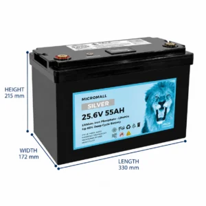 Silver 24V 50Ah 55Ah - BTL-24V55S side profile | NZ Depot
