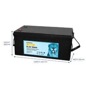 48V 50Ah 55Ah LiFePO4 Deep - BTL-48V55 side profile | NZ Depot