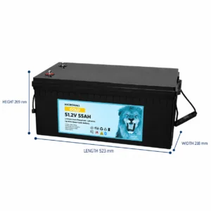 48V 50Ah 55Ah Lithium - BTL-48V55GOLF side profile | NZ Depot